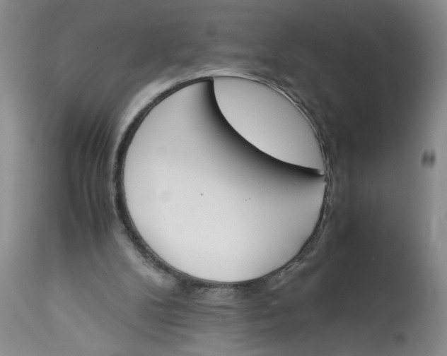 X0000113170104200909251427