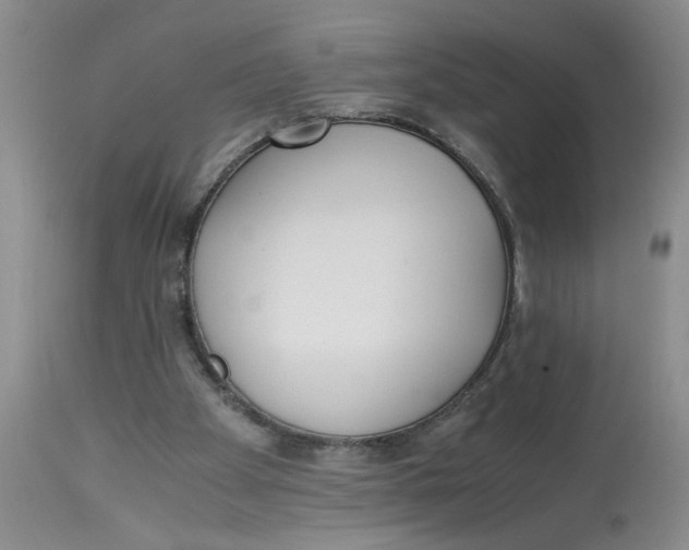X0000113170105200909251427