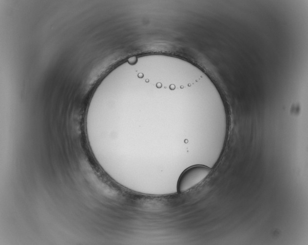 X0000113170106200909251427