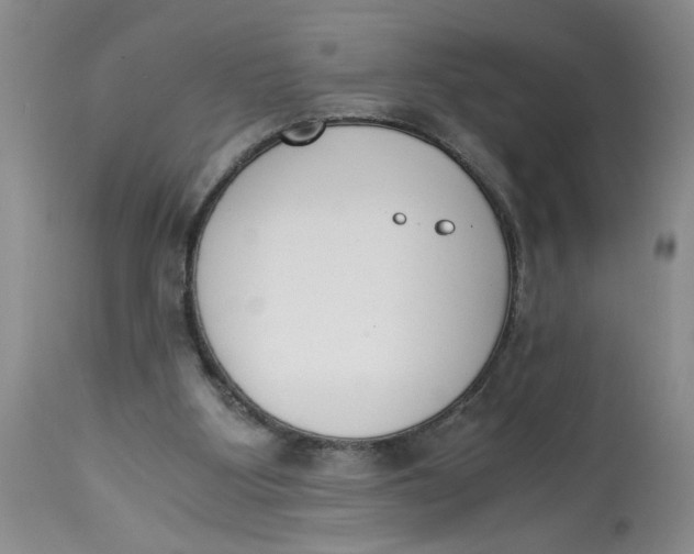 X0000113170107200909251427