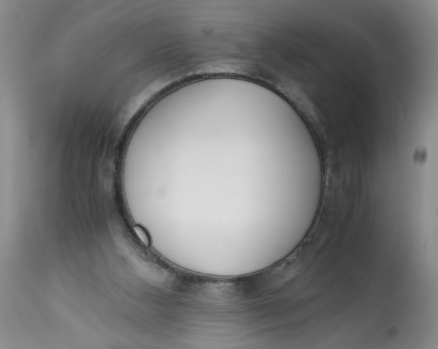 X0000113170108200909251427