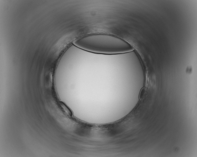 X0000113170109200909251427