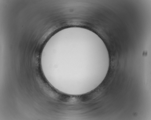X0000113170111200909251427