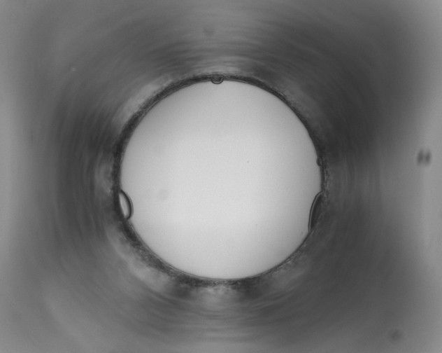 X0000113170112200909251427