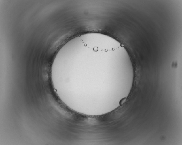 X0000113170114200909251427