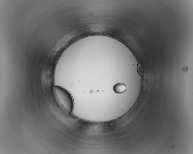 X0000113170116200909251427