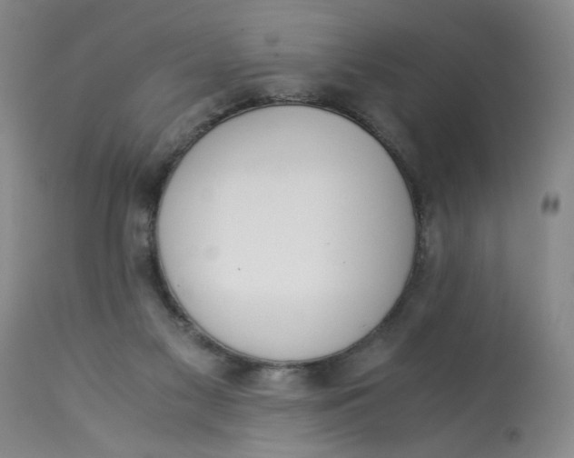 X0000113170117200909251427