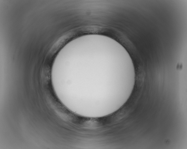 X0000113170119200909251427