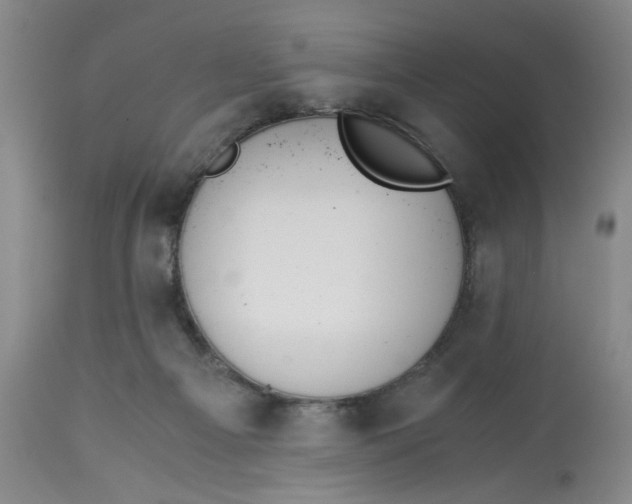 X0000113170121200909251427