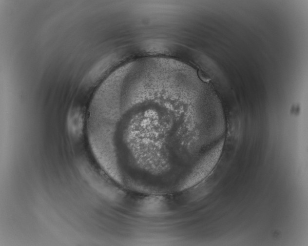 X0000113170124200909251427