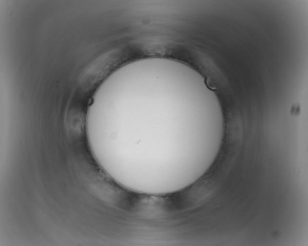 X0000113170125200909251427