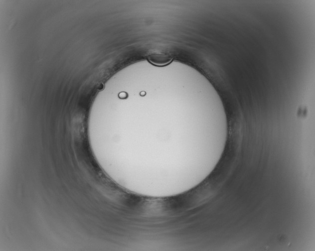 X0000113170127200909251427