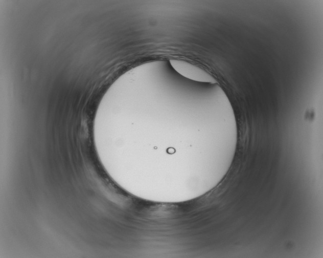 X0000113170128200909251427