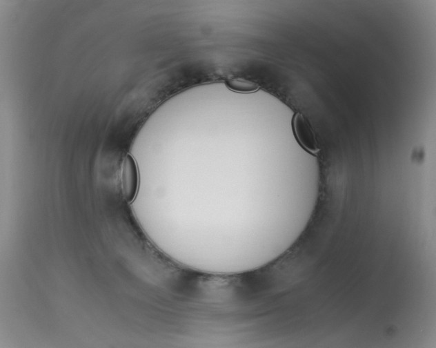 X0000113170129200909251427