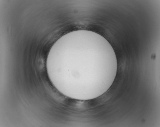 X0000113170130200909251427