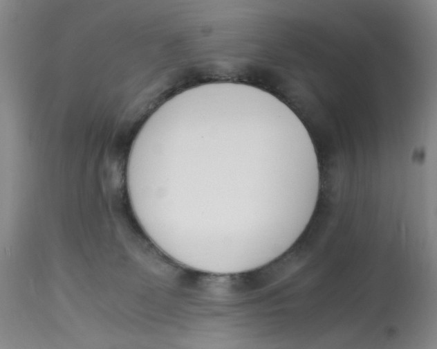 X0000113170131200909251427