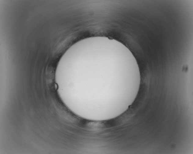 X0000113170133200909251426