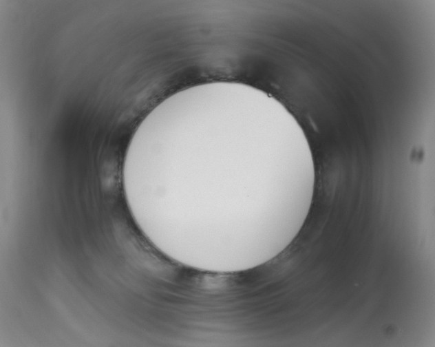 X0000113170134200909251426