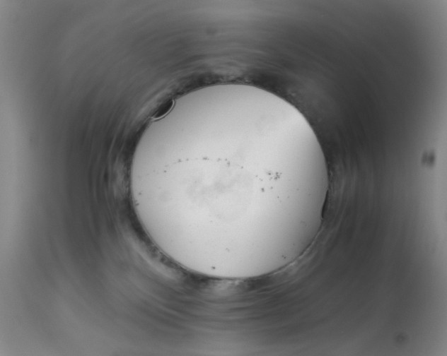 X0000113170136200909251426