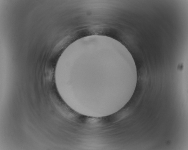 X0000113170139200909251426