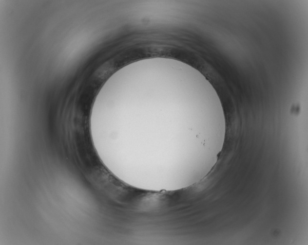 X0000113170140200909251426