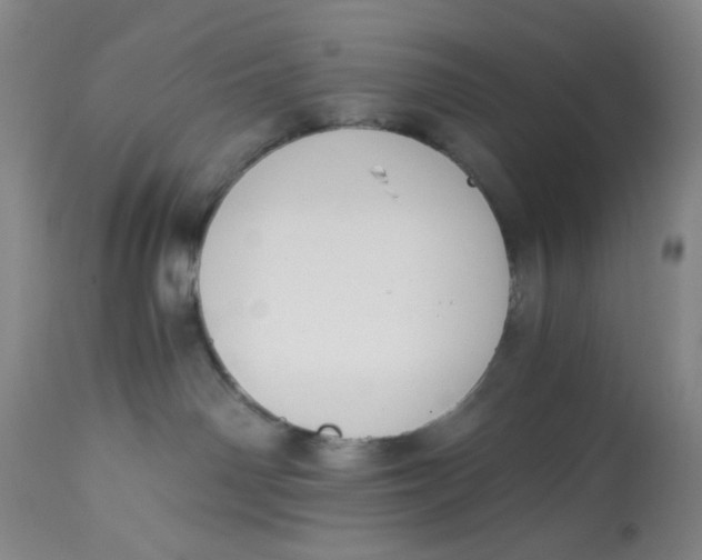 X0000113170142200909251426