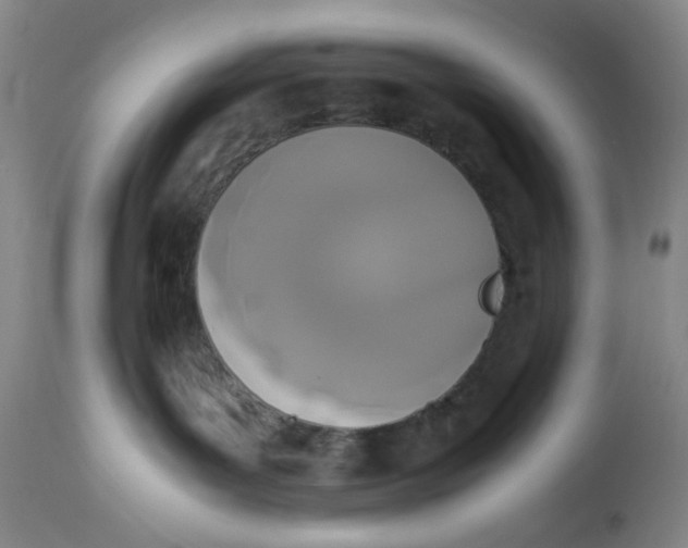 X0000113170143200909251426