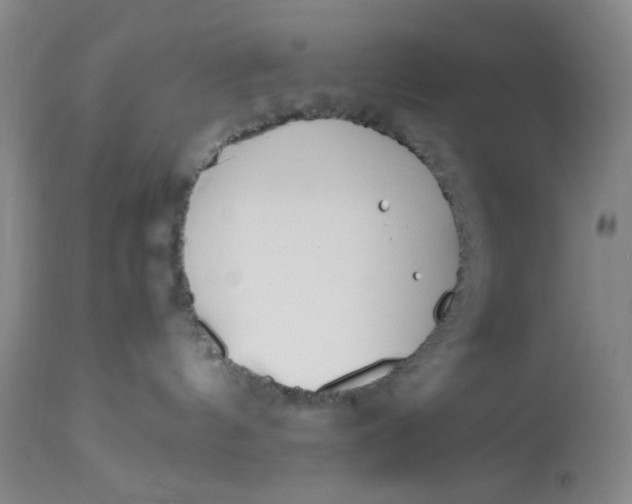 X0000113170144200909251426