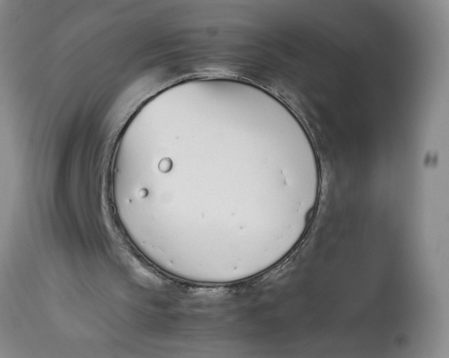 X0000113170145200909251426