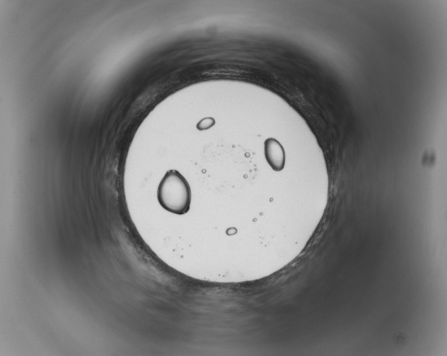 X0000113170146200909251426