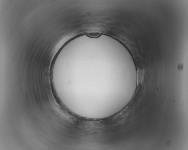 X0000113170147200909251426