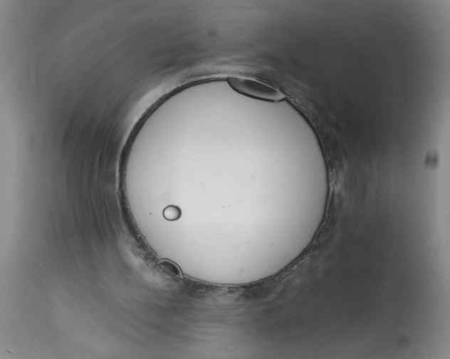 X0000113170148200909251426