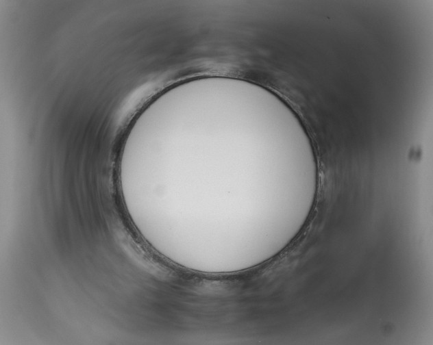 X0000113170149200909251426