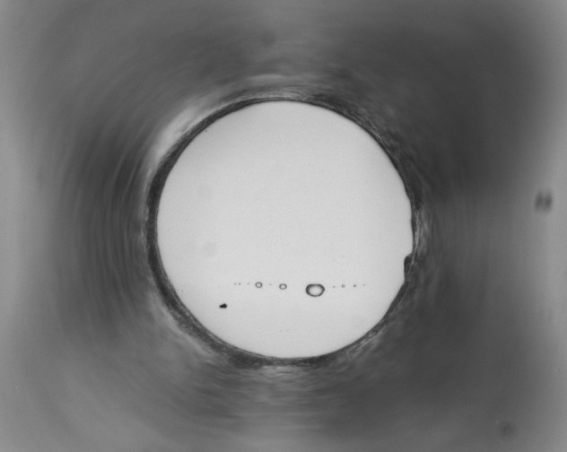 X0000113170150200909251426