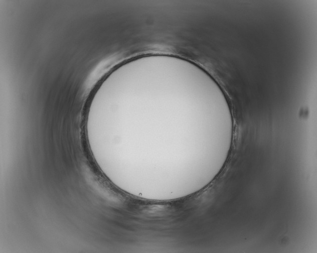 X0000113170151200909251426