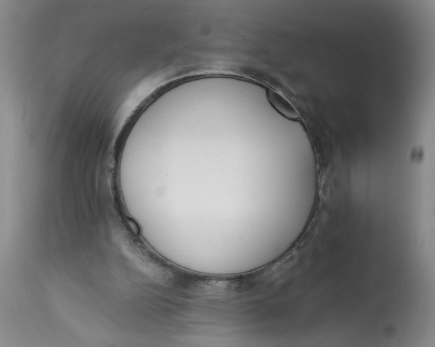 X0000113170152200909251426