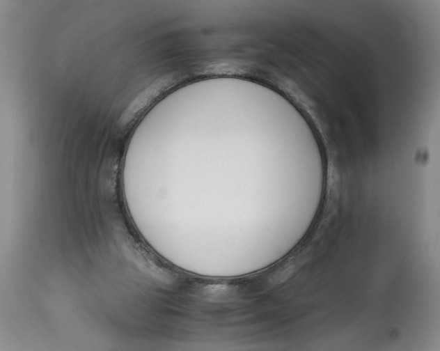 X0000113170153200909251426