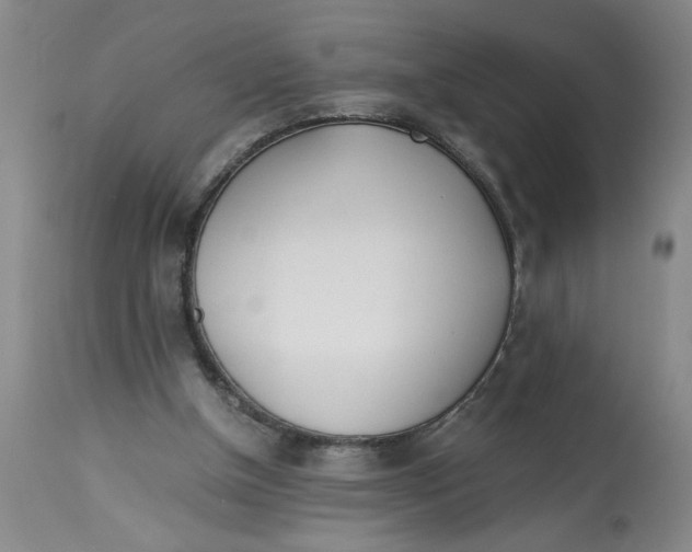 X0000113170154200909251426