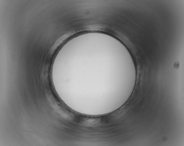 X0000113170155200909251426