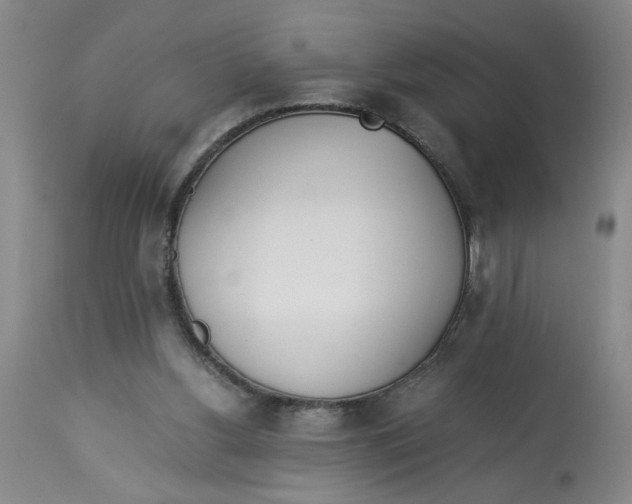 X0000113170156200909251426