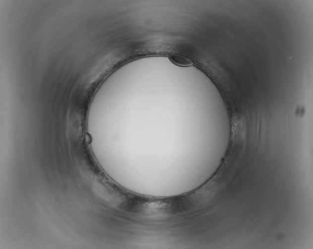 X0000113170158200909251426