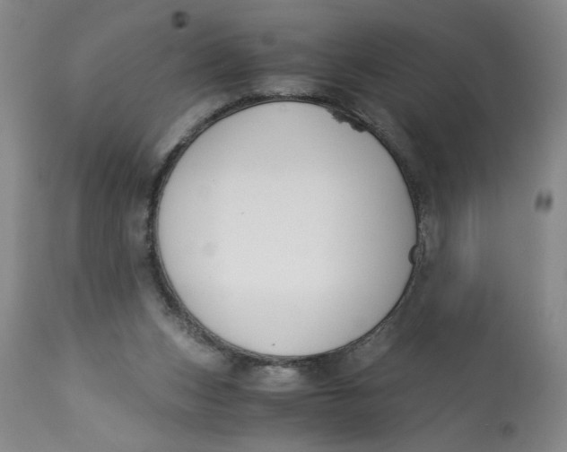 X0000113170159200909251426