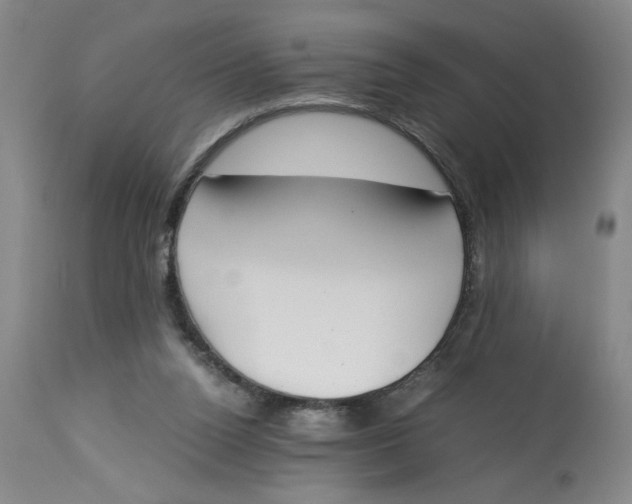 X0000113170160200909251426