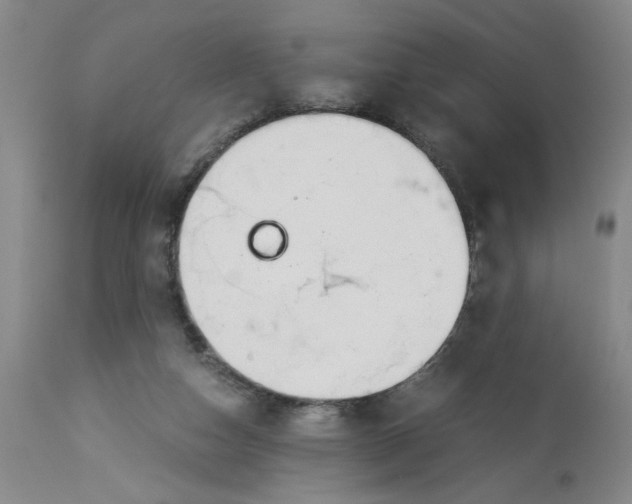 X0000113170162200909251426