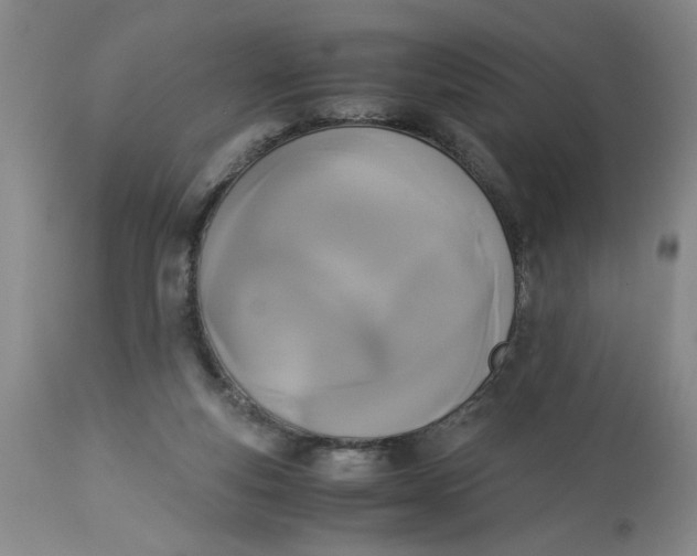 X0000113170163200909251426