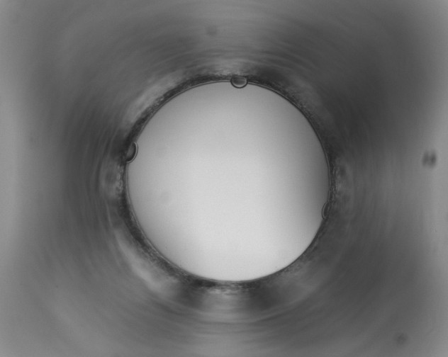 X0000113170164200909251426