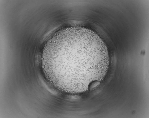 X0000113170165200909251426