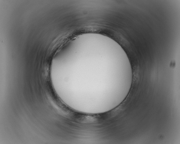 X0000113170166200909251426