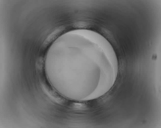 X0000113170167200909251426