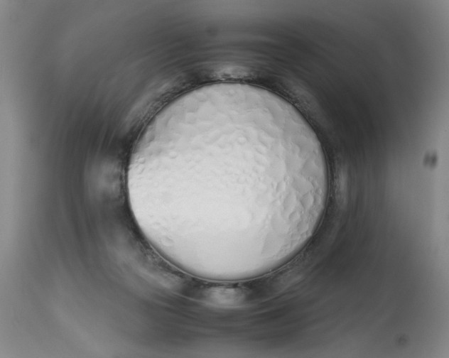 X0000113170169200909251426